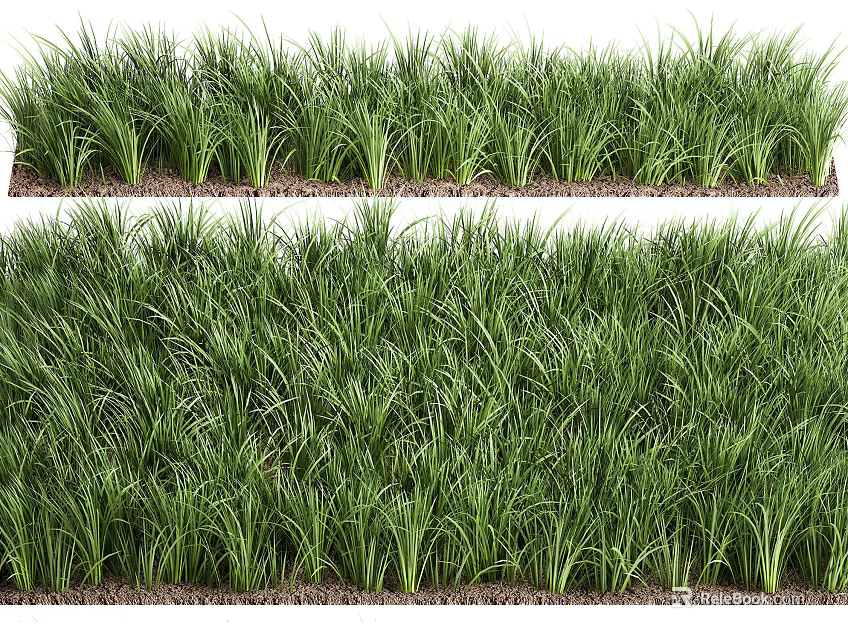 Lush Green Grass Lawn With Dense Fresh Foliage For Outdoor Garden Landscaping 3d model 