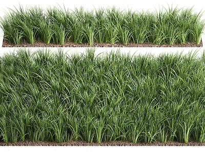 Lush Green Grass Lawn With Dense Fresh Foliage For Outdoor Garden Landscaping 3d model