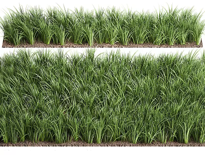 Modern Lawn Lawn Grass 3d model