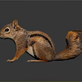 Adorable Brown Squirrel With Fluffy Tail Big Eyes Standing On Shiny Surface