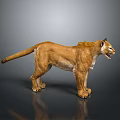 Realistic 3D Rendered Puma Figure In Standing Pose With Detailed Fur And Dark Background