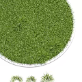 Lush Green Circular Lawn With White Border And Fresh Grass Tufts