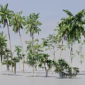 Diverse Green Plant Combinations with Trees Shrubs and Vines for Landscape Design