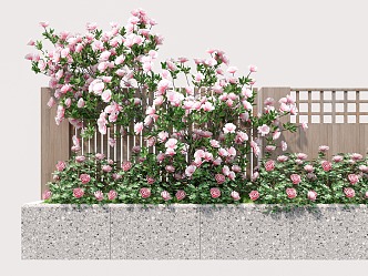 Rose Rosa Vine Plant Climbing Vine Green Plant Flower Wall 3d model