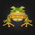 Vibrant Green Aquatic Frog With Yellow Spots And Large Eyes On Black Background