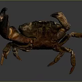 Realistic Rusty Brown Crab With Large Claws And Textured Shell On Gray Surface
