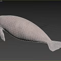 Gentle Gray Manatee Aquatic Animal With Rounded Body And Flippers In Marine Life