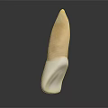 Abstract Organ Sculpture With Hair Like Yellowish And White Textured Structure