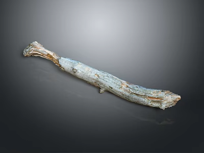 Wood and Stone Artistic Decorative Piece with Natural Texture Unique Shape and Organic Design 3d model
