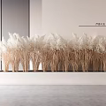 Potted White Pampas Grass in White Rectangular Planter with Light Walls and Gray Floor 3d model