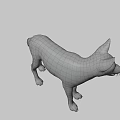 Realistic 3D Model of Standing Fox With Brown And Gray Fur On Gray Background