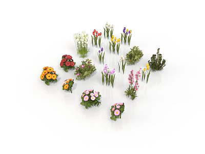 Colorful Various Flowers And Green Plants Arranged In Circle With Different Varieties 3d model