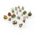Colorful Various Flowers And Green Plants Arranged In Circle With Different Varieties