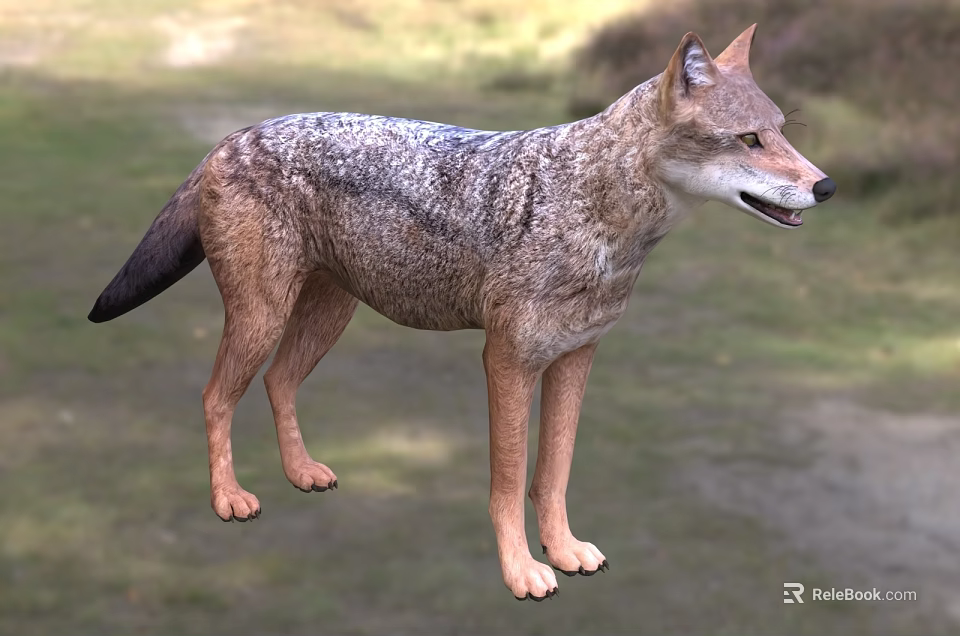 Vibrant Green Reptile Lizard With Scaly Skin Perching On Tree Branch In Wild Habitat 3d model 