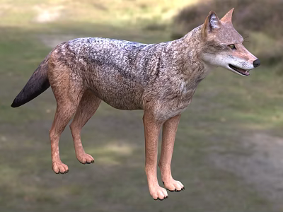 Vibrant Green Reptile Lizard With Scaly Skin Perching On Tree Branch In Wild Habitat 3d model