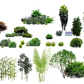 Modern Tree Landscape Tree 3d model