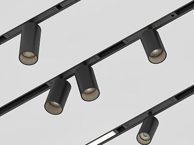 Modern Black Track Downlights Spotlights With Sleek Design And Adjustable Heads 3d model