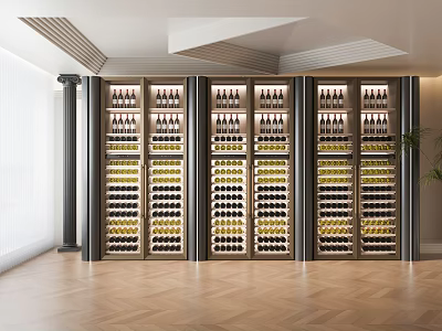 Modern Wine Cellar With Built in Wine Racks And Elegant Design 3d model