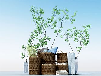 Modern Storage Basket Potted Plant 3d model