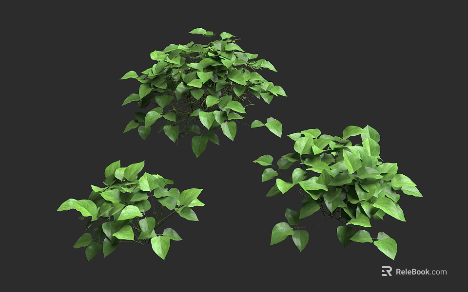 Arbor With Lush Green Foliage And Multiple Natural Growth Forms Displayed 3d model 