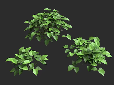 Arbor With Lush Green Foliage And Multiple Natural Growth Forms Displayed 3d model