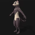 Anthropomorphic Ferret 3D Character Model With Brown White Fur And Blue Eyes Standing Pose