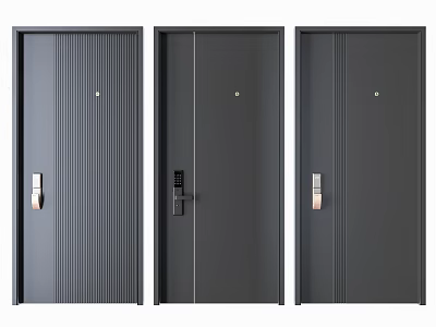 Modern Security Doors With Three Different Designs Dark Gray Finish And Secure Locks 3d model