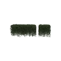Lush Green Trimmed Garden Shrubs Adding Charm To Outdoor Garden Spaces