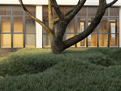 Lush Grass And Large Tree In Front Of Modern Building 3d model