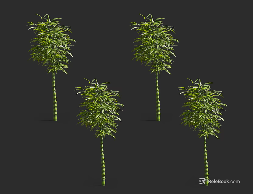Four Green Bamboo Plants With Distinct Joints On Dark Background 3d model