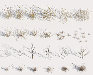 modern grass withered grass 3d model