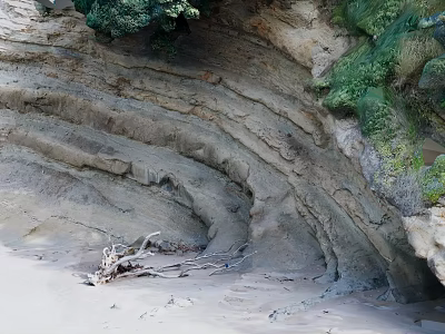 Natural Garden Landscape with Layered Rock Formations Sandy Beach Green Vegetation and Driftwood 3d model