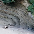 Natural Garden Landscape with Layered Rock Formations Sandy Beach Green Vegetation and Driftwood