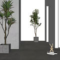 Modern Potted Simple Plant 3d model