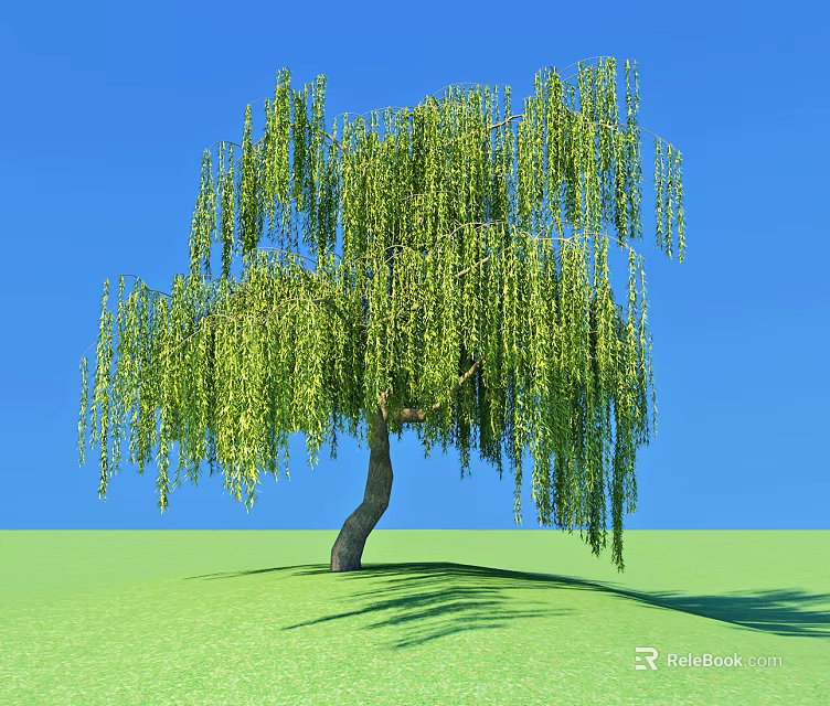 Weeping Willow Tree with Lush Green Drooping Branches against Blue Sky and Green Grass Ground 3d model 