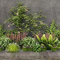 Lush Green Plants And Flowering Vines Against Gray Wall With Stone Floor