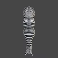 Zebra With Black And White Stripes Standing On Gray Background 3d model
