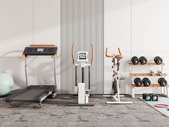 Modern Fitness Equipment 3d model