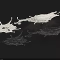 Garden Decorative Accents With White Transparent Water Splashes On Black Background