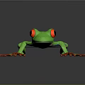 Vibrant Green Frog With Red Eyes And Red Toes On Black Background