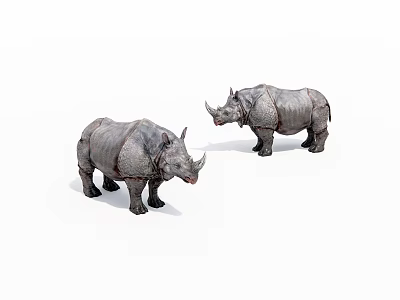 Two Lifelike Gray Textured Rhinoceros Sculptures Standing On White Background 3d model