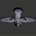 Gray Pigeon with Green Neck Red Feet and Spread Wings on Reflective Surface