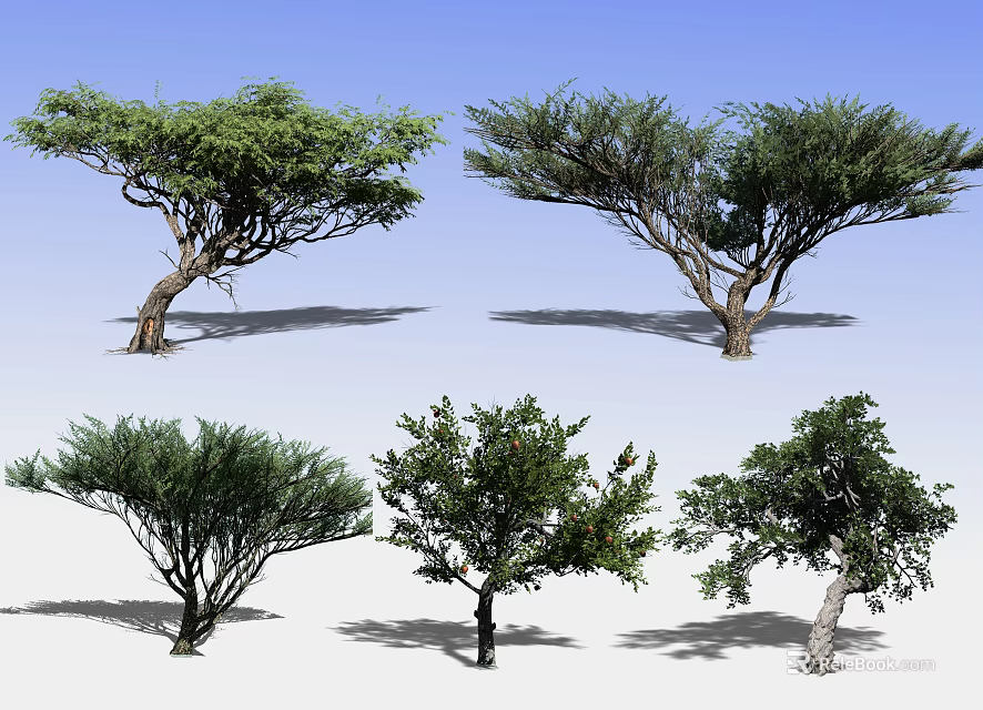 Various Types of Garden Trees with Different Shapes and Green Foliage 3d model 
