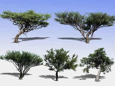 Various Types of Garden Trees with Different Shapes and Green Foliage 3d model