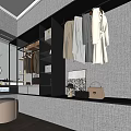 Modern Walk in Closet Interior With Hanging Clothes Storage Cabinets And Mirror
