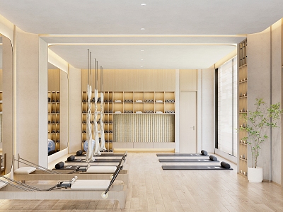 Modern Yoga Room model