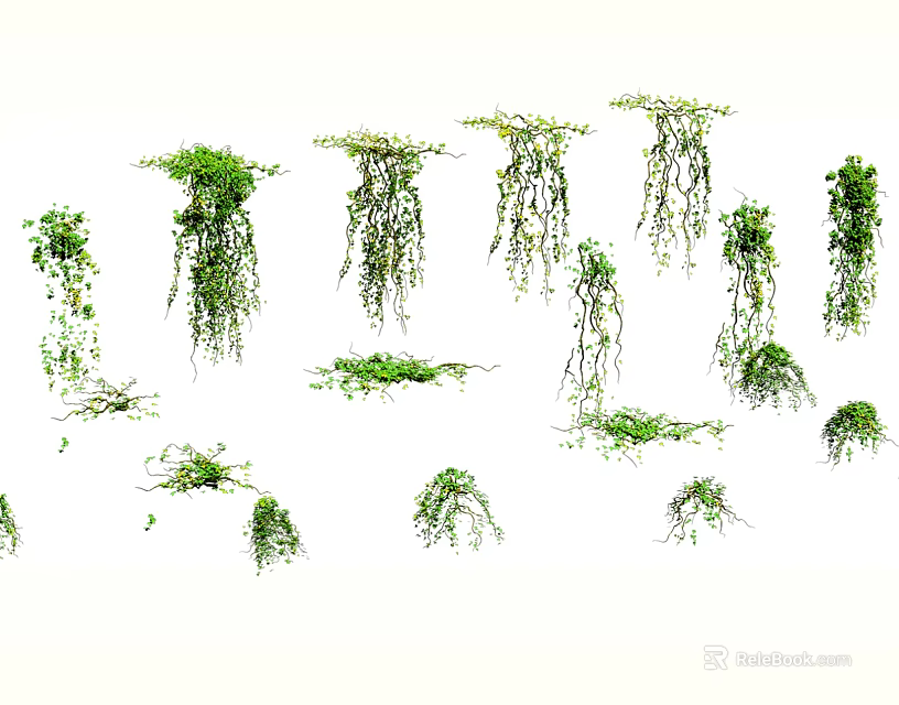 Lush Green Hanging Vines with Cascading Leaves for Home Decoration 3d model 