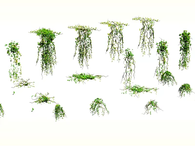 Lush Green Hanging Vines with Cascading Leaves for Home Decoration 3d model