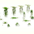Lush Green Hanging Vines with Cascading Leaves for Home Decoration