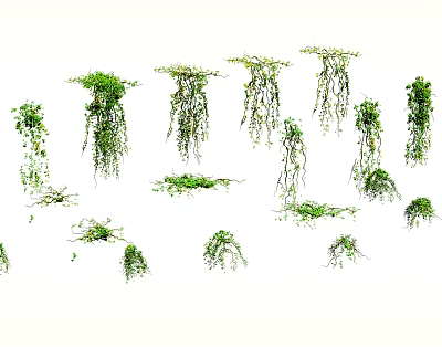 Lush Green Hanging Vines with Cascading Leaves for Home Decoration 3d model